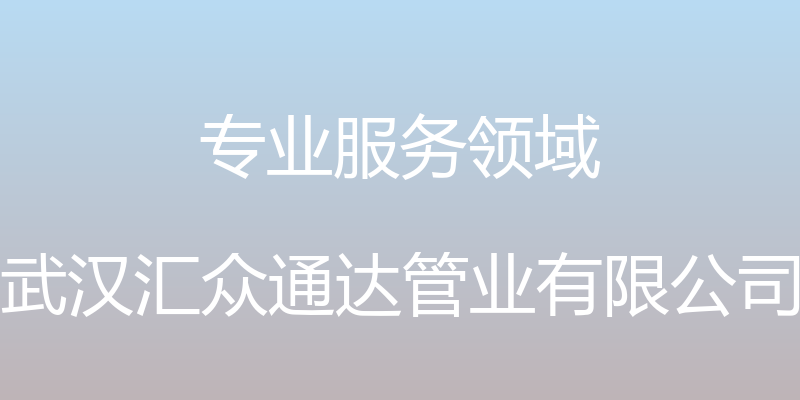 专业服务领域 - 武汉汇众通达管业有限公司